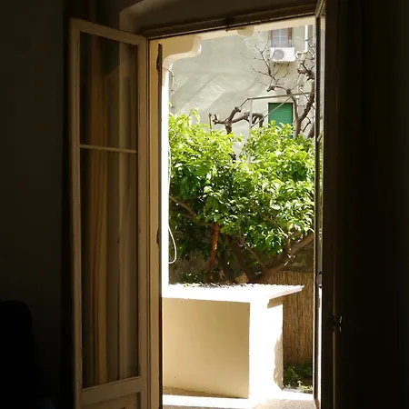 Paradiso Garden